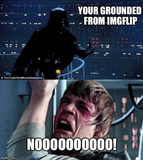 darth vader luke skywalker | YOUR GROUNDED FROM IMGFLIP; NOOOOOOOOOO! | image tagged in darth vader luke skywalker | made w/ Imgflip meme maker