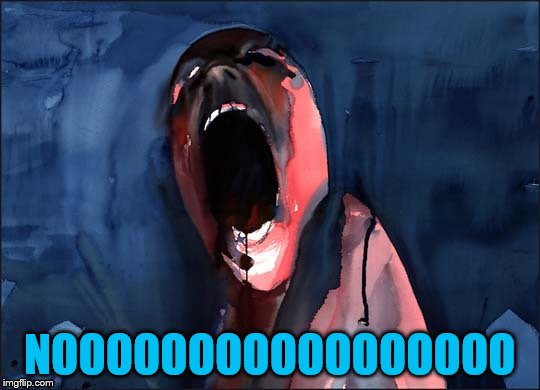 Pink Floyd Scream | NOOOOOOOOOOOOOOOOO | image tagged in pink floyd scream | made w/ Imgflip meme maker