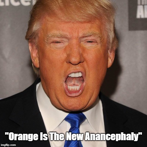 "Orange Is The New Anancephaly" | made w/ Imgflip meme maker