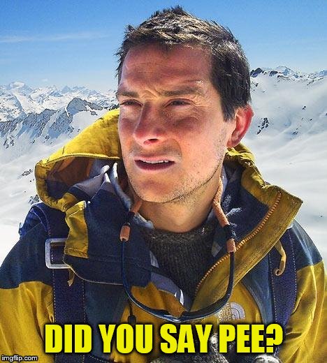 DID YOU SAY PEE? | made w/ Imgflip meme maker