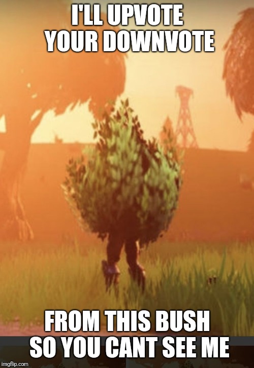 Fortnite bush | I'LL UPVOTE YOUR DOWNVOTE FROM THIS BUSH SO YOU CANT SEE ME | image tagged in fortnite bush | made w/ Imgflip meme maker