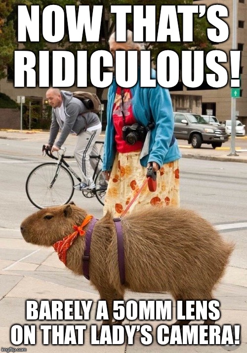 NOW THAT’S RIDICULOUS! BARELY A 50MM LENS ON THAT LADY’S CAMERA! | made w/ Imgflip meme maker