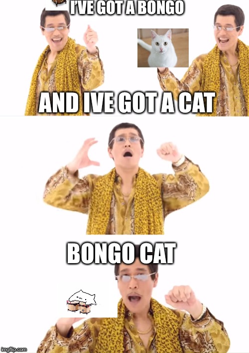 PPAP | I’VE GOT A BONGO; AND IVE GOT A CAT; BONGO CAT | image tagged in memes,ppap | made w/ Imgflip meme maker