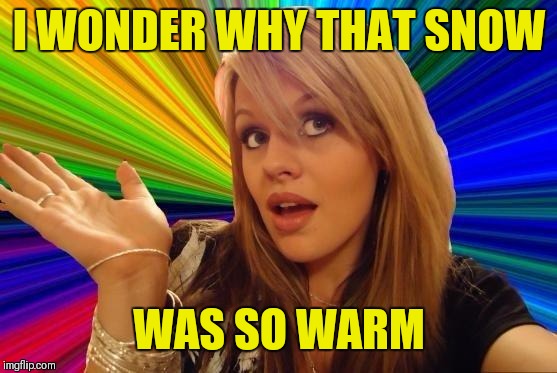Dumb Blonde Meme | I WONDER WHY THAT SNOW WAS SO WARM | image tagged in memes,dumb blonde | made w/ Imgflip meme maker