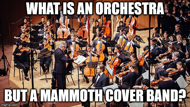 orchestra | WHAT IS AN ORCHESTRA; BUT A MAMMOTH COVER BAND? | image tagged in orchestra,cover band,band,cover,bar | made w/ Imgflip meme maker