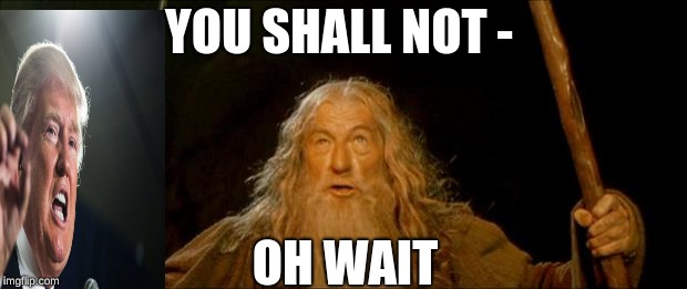 gandalf you shall not pass | YOU SHALL NOT - OH WAIT | image tagged in gandalf you shall not pass | made w/ Imgflip meme maker