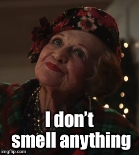 Aunt Bethany | I don’t smell anything | image tagged in aunt bethany | made w/ Imgflip meme maker