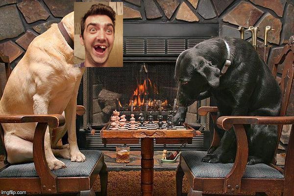 Dogs Playing Chess | image tagged in dogs playing chess | made w/ Imgflip meme maker