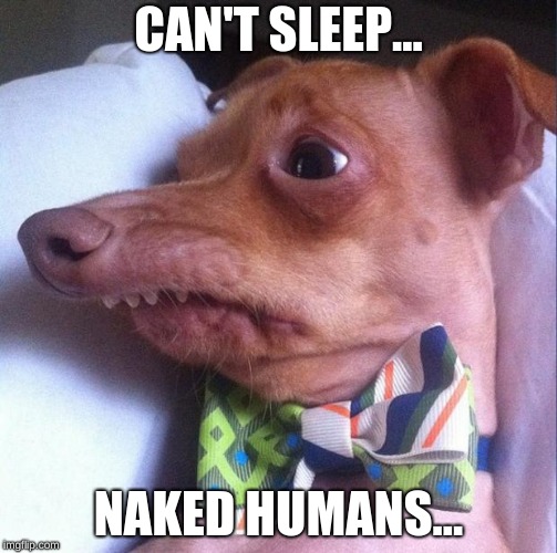 Tuna the dog (Phteven) | CAN'T SLEEP... NAKED HUMANS... | image tagged in tuna the dog phteven | made w/ Imgflip meme maker