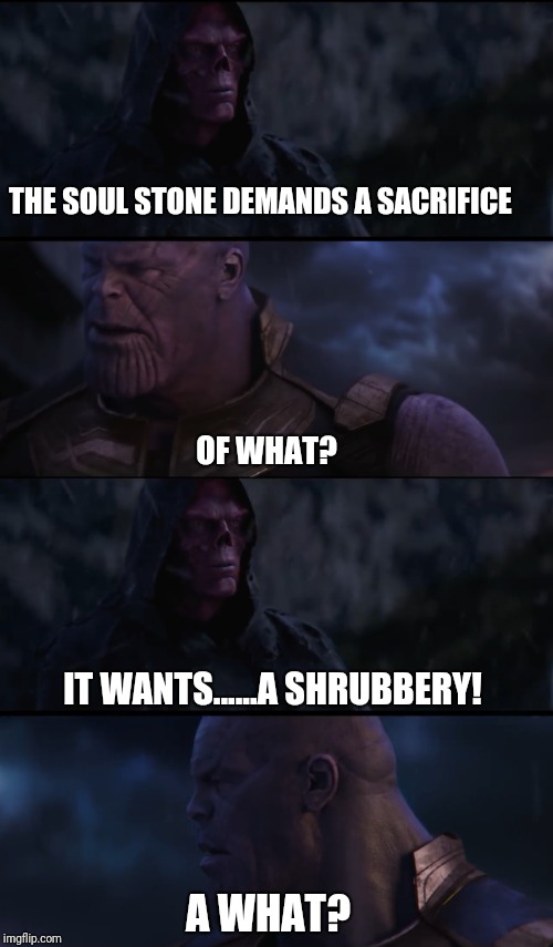 Thanos and The Infinity Grail- The Soul Stone | THE SOUL STONE DEMANDS A SACRIFICE; OF WHAT? IT WANTS......A SHRUBBERY! A WHAT? | image tagged in thanos,monty python and the holy grail,marvel,infinity war,avengers,avengers infinity war | made w/ Imgflip meme maker