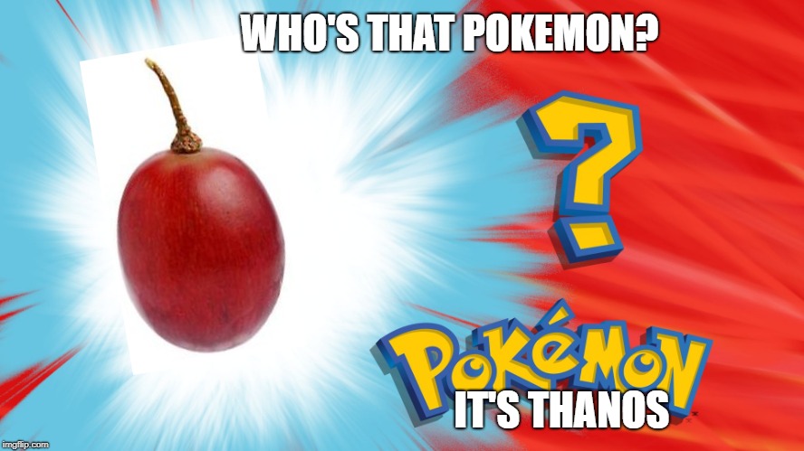 Who's That Pokemon | WHO'S THAT POKEMON? IT'S THANOS | image tagged in who's that pokemon | made w/ Imgflip meme maker