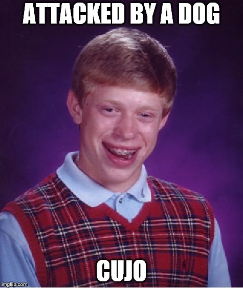 Bad Luck Brian | ATTACKED BY A DOG; CUJO | image tagged in memes,bad luck brian | made w/ Imgflip meme maker