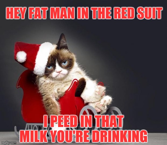 Santa must have brought the wrong gift last year | HEY FAT MAN IN THE RED SUIT; I PEED IN THAT MILK YOU'RE DRINKING | image tagged in grumpy cat christmas hd,grumpy cat,funny,santa claus,christmas,cookies and milk | made w/ Imgflip meme maker