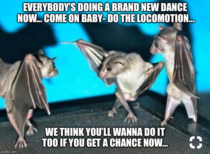 EVERYBODY’S DOING A BRAND NEW DANCE NOW... COME ON BABY- DO THE LOCOMOTION... WE THINK YOU’LL WANNA DO IT TOO IF YOU GET A CHANCE NOW... | made w/ Imgflip meme maker