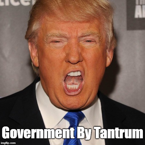 "Government By Tantrum" | Government By Tantrum | image tagged in trump,deplorable donald,devious donald,dishonorable donald,dishonest donald,deranged donald | made w/ Imgflip meme maker