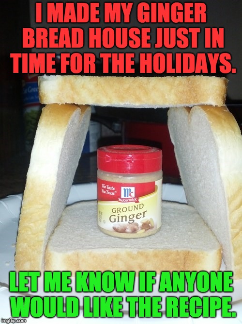 Ginger bread house? | I MADE MY GINGER BREAD HOUSE JUST IN TIME FOR THE HOLIDAYS. LET ME KNOW IF ANYONE WOULD LIKE THE RECIPE. | image tagged in pun | made w/ Imgflip meme maker