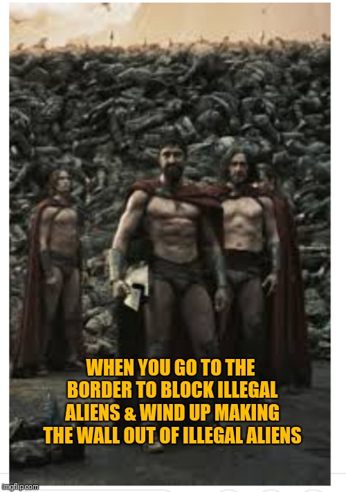 WHEN YOU GO TO THE BORDER TO BLOCK ILLEGAL ALIENS & WIND UP MAKING THE WALL OUT OF ILLEGAL ALIENS | image tagged in border wall | made w/ Imgflip meme maker