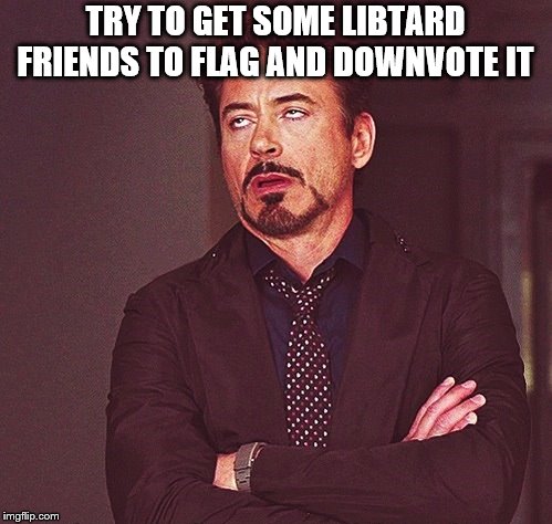 Robert Downey Jr rolling eyes | TRY TO GET SOME LIBTARD FRIENDS TO FLAG AND DOWNVOTE IT | image tagged in robert downey jr rolling eyes | made w/ Imgflip meme maker