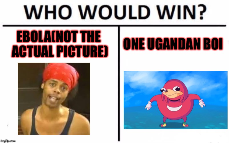 Who Would Win? Meme | EBOLA(NOT THE ACTUAL PICTURE) ONE UGANDAN BOI | image tagged in memes,who would win | made w/ Imgflip meme maker