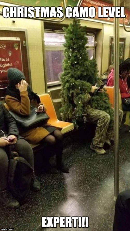 There's camo, and then there's CAMO!!! | CHRISTMAS CAMO LEVEL; EXPERT!!! | image tagged in funny,memes,christmas,camouflage,level expert | made w/ Imgflip meme maker