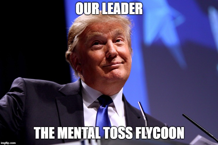 Donald Trump No2 |  OUR LEADER; THE MENTAL TOSS FLYCOON | image tagged in donald trump no2 | made w/ Imgflip meme maker
