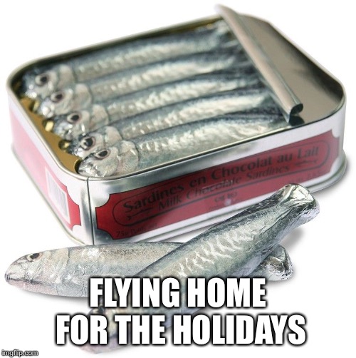 Happy Holiday Travels | FLYING HOME FOR THE HOLIDAYS | image tagged in flight,holidays,travel,funny | made w/ Imgflip meme maker