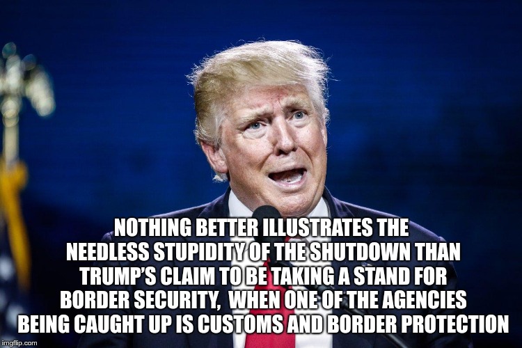 Insane | NOTHING BETTER ILLUSTRATES THE NEEDLESS STUPIDITY OF THE SHUTDOWN THAN TRUMP’S CLAIM TO BE TAKING A STAND FOR BORDER SECURITY,  WHEN ONE OF THE AGENCIES BEING CAUGHT UP IS CUSTOMS AND BORDER PROTECTION | image tagged in trump,shutdown,moron,idiot,nowall | made w/ Imgflip meme maker