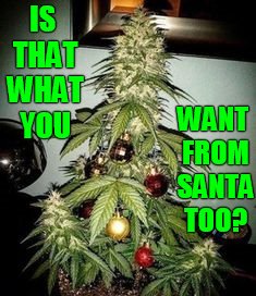 IS THAT WHAT YOU WANT FROM SANTA TOO? | made w/ Imgflip meme maker