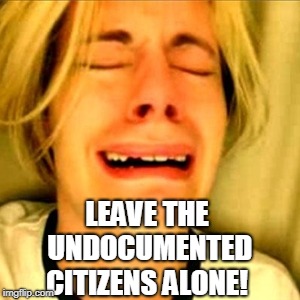 Leave Brittney alone | LEAVE THE UNDOCUMENTED CITIZENS ALONE! | image tagged in leave brittney alone | made w/ Imgflip meme maker