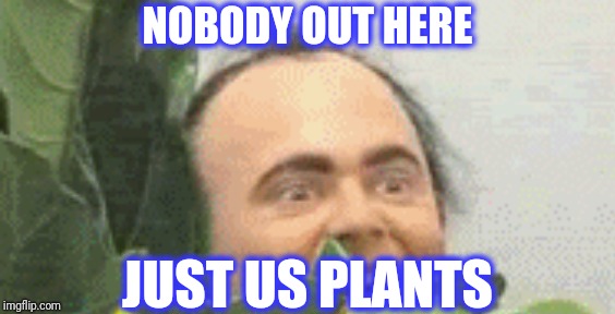 NOBODY OUT HERE JUST US PLANTS | made w/ Imgflip meme maker