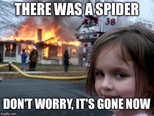 Disaster Girl | THERE WAS A SPIDER; DON'T WORRY, IT'S GONE NOW | image tagged in memes,disaster girl | made w/ Imgflip meme maker