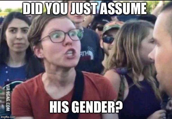 Femenist stereotype | DID YOU JUST ASSUME HIS GENDER? | image tagged in femenist stereotype | made w/ Imgflip meme maker