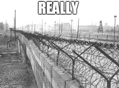 REALLY | made w/ Imgflip meme maker
