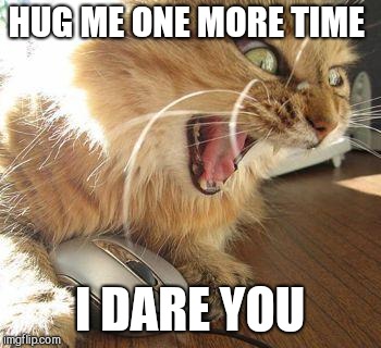 angry cat | HUG ME ONE MORE TIME I DARE YOU | image tagged in angry cat | made w/ Imgflip meme maker