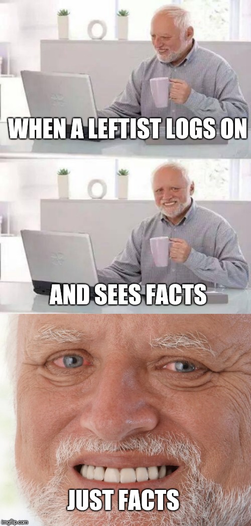 image-tagged-in-memes-hide-the-pain-harold-imgflip