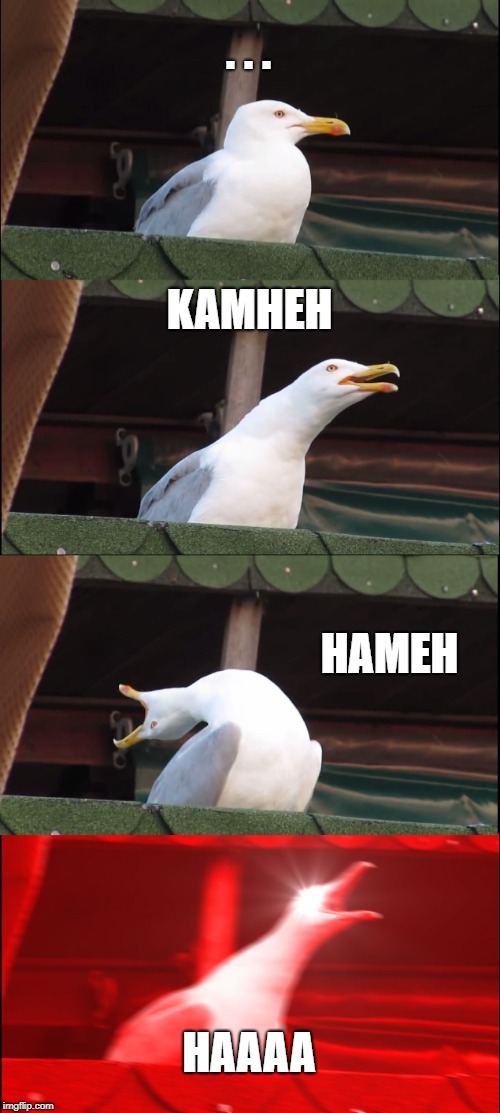 Inhaling Seagull Meme | . . . KAMHEH; HAMEH; HAAAA | image tagged in memes,inhaling seagull | made w/ Imgflip meme maker