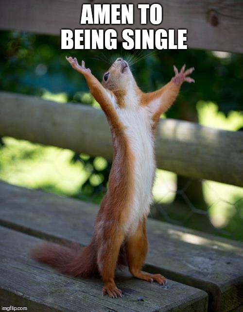 amen squirrel | AMEN TO BEING SINGLE | image tagged in amen squirrel | made w/ Imgflip meme maker