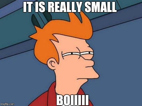 Futurama Fry | IT IS REALLY SMALL; BOIIIII | image tagged in memes,futurama fry | made w/ Imgflip meme maker