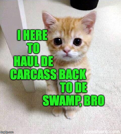 Cute Cat Meme | I HERE TO HAUL DE CARCASS BACK TO DE SWAMP, BRO | image tagged in memes,cute cat | made w/ Imgflip meme maker