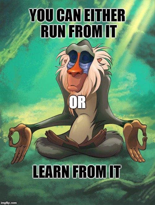 Rafiki wisdom | YOU CAN EITHER RUN FROM IT LEARN FROM IT OR | image tagged in rafiki wisdom | made w/ Imgflip meme maker