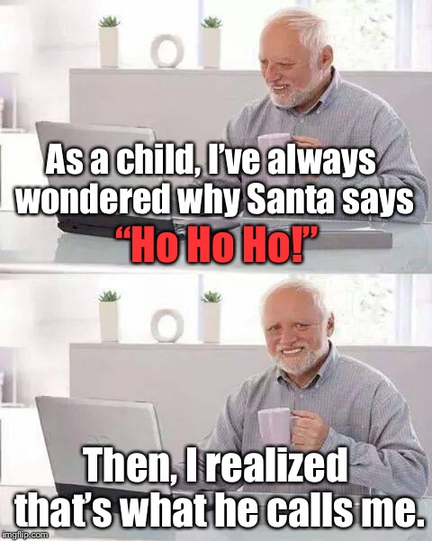 Harold is a hoe, hoe, hoe! | As a child, I’ve always wondered why Santa says; “Ho Ho Ho!”; Then, I realized that’s what he calls me. | image tagged in memes,hide the pain harold | made w/ Imgflip meme maker