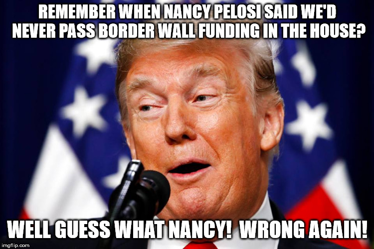 Trump Passes Border Wall Funding in House! | REMEMBER WHEN NANCY PELOSI SAID WE'D NEVER PASS BORDER WALL FUNDING IN THE HOUSE? WELL GUESS WHAT NANCY!  WRONG AGAIN! | image tagged in donald trump,nancy pelosi,border wall,house of representatives | made w/ Imgflip meme maker