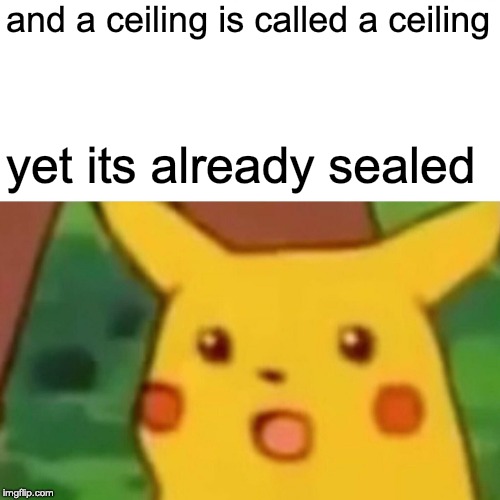Surprised Pikachu Meme | and a ceiling is called a ceiling yet its already sealed | image tagged in memes,surprised pikachu | made w/ Imgflip meme maker