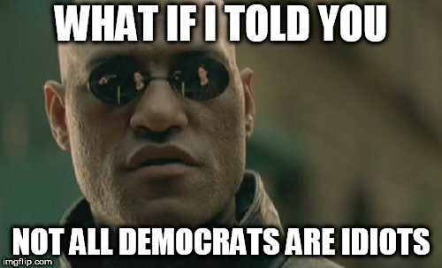 Matrix Morpheus | WHAT IF I TOLD YOU; NOT ALL DEMOCRATS ARE IDIOTS | image tagged in memes,matrix morpheus,democrat,democrats,idiot,idiots | made w/ Imgflip meme maker