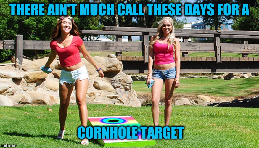 THERE AIN'T MUCH CALL THESE DAYS FOR A CORNHOLE TARGET | made w/ Imgflip meme maker