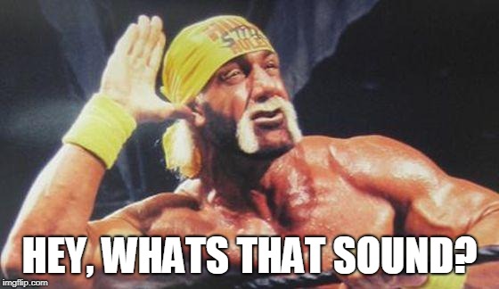 Hulk Hogan Ear | HEY, WHATS THAT SOUND? | image tagged in hulk hogan ear | made w/ Imgflip meme maker