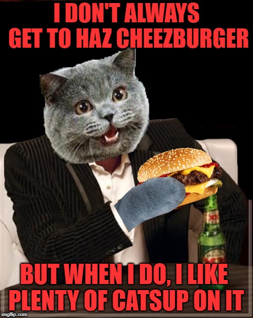 The most interesting cat in the world | I DON'T ALWAYS GET TO HAZ CHEEZBURGER; BUT WHEN I DO, I LIKE PLENTY OF CATSUP ON IT | image tagged in funny memes,cat memes,cat,i can has cheezburger cat,ketchup,cats | made w/ Imgflip meme maker