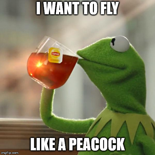 But That's None Of My Business | I WANT TO FLY; LIKE A PEACOCK | image tagged in memes,but thats none of my business,kermit the frog | made w/ Imgflip meme maker