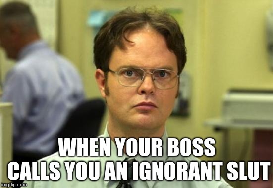 Dwight Schrute Meme | WHEN YOUR BOSS CALLS YOU AN IGNORANT SLUT | image tagged in memes,dwight schrute | made w/ Imgflip meme maker