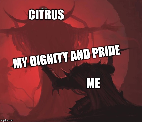 Man giving sword to larger man | CITRUS; MY DIGNITY AND PRIDE; ME | image tagged in man giving sword to larger man | made w/ Imgflip meme maker